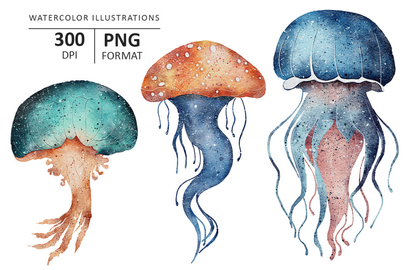 jellyfish-watercolor-illustration