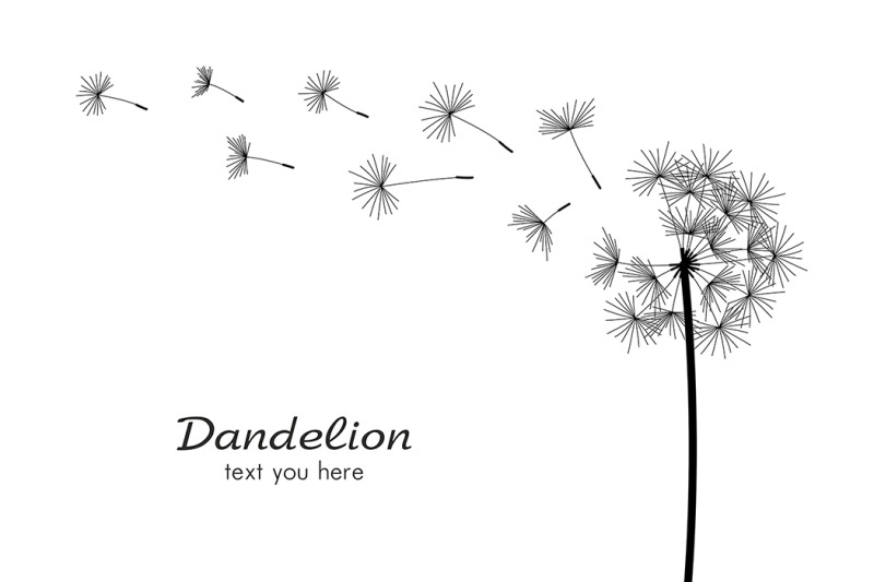 dandelion-pattern
