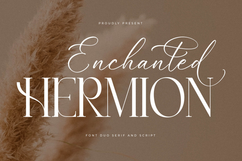 enchanted-hermion-font-duo