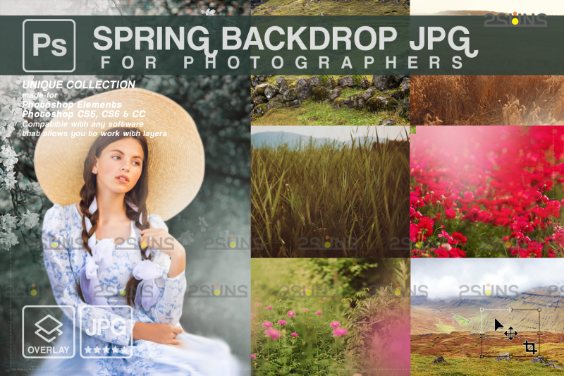 flower-backdrop-floral-background-photo-overlays