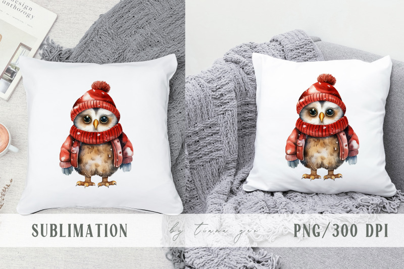 cute-watercolor-christmas-winter-owl-clipart-1-png