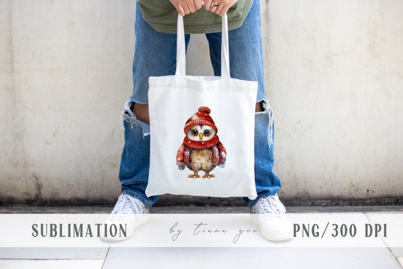 cute-watercolor-christmas-winter-owl-clipart-1-png