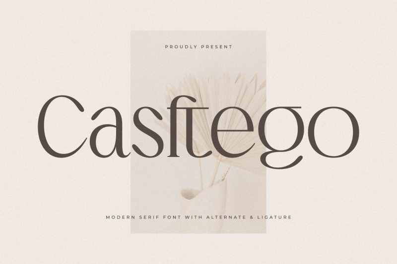 casftego-typeface