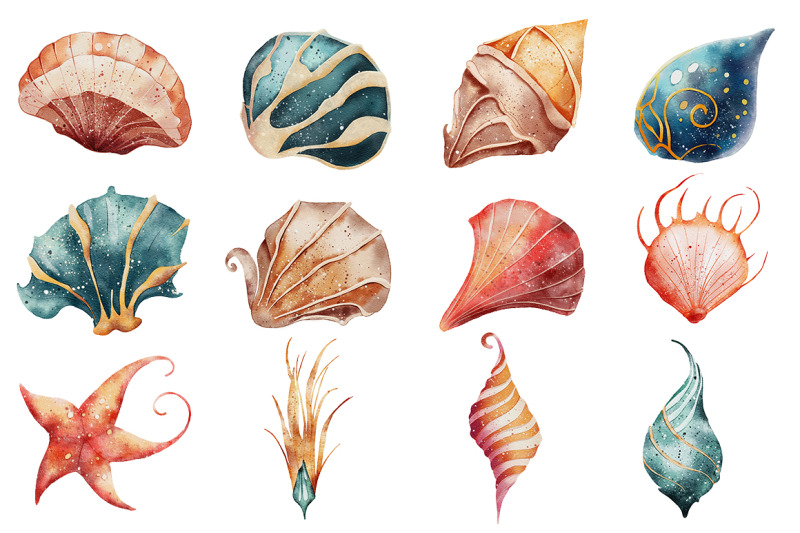 seashells-watercolor-illustrations