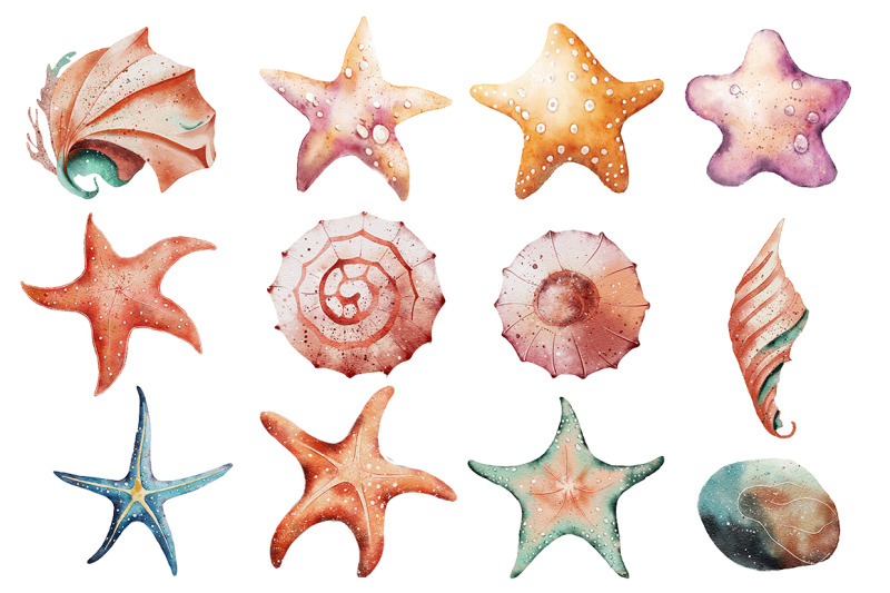 seashells-watercolor-illustrations