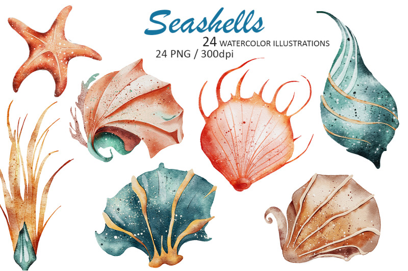 seashells-watercolor-illustrations