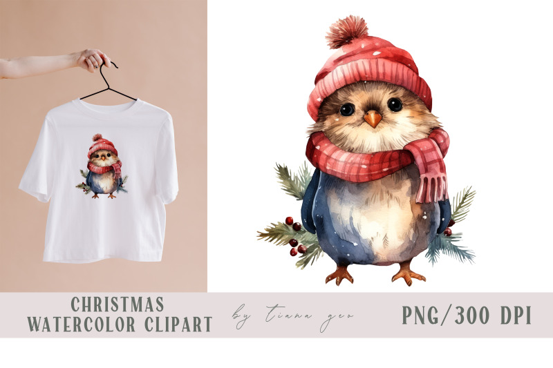 cute-watercolor-christmas-winter-bird-clipart-1-png