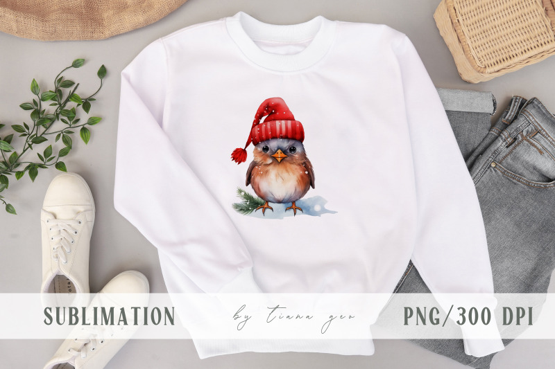 watercolor-sparrow-and-owl-christmas-bird-clipart-4-png