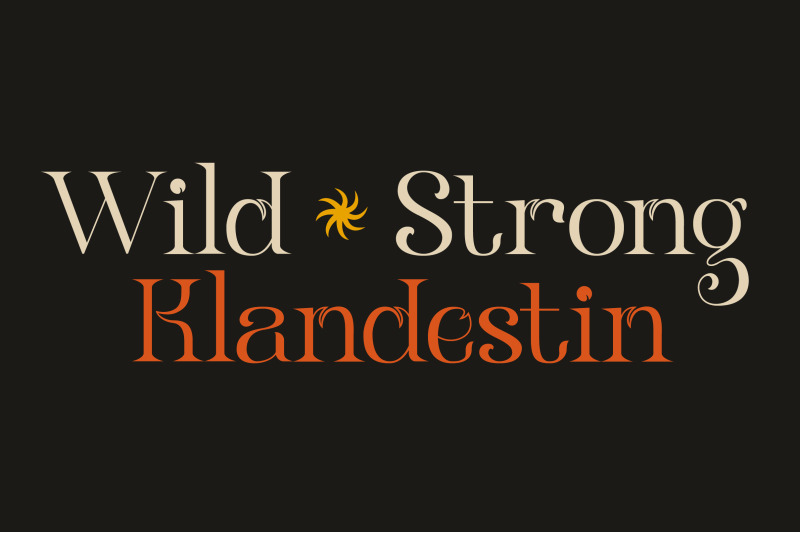 klandestin-modern-amp-classical-serif