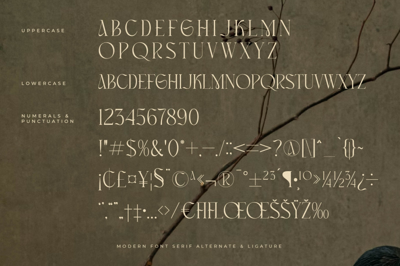 masconia-typeface