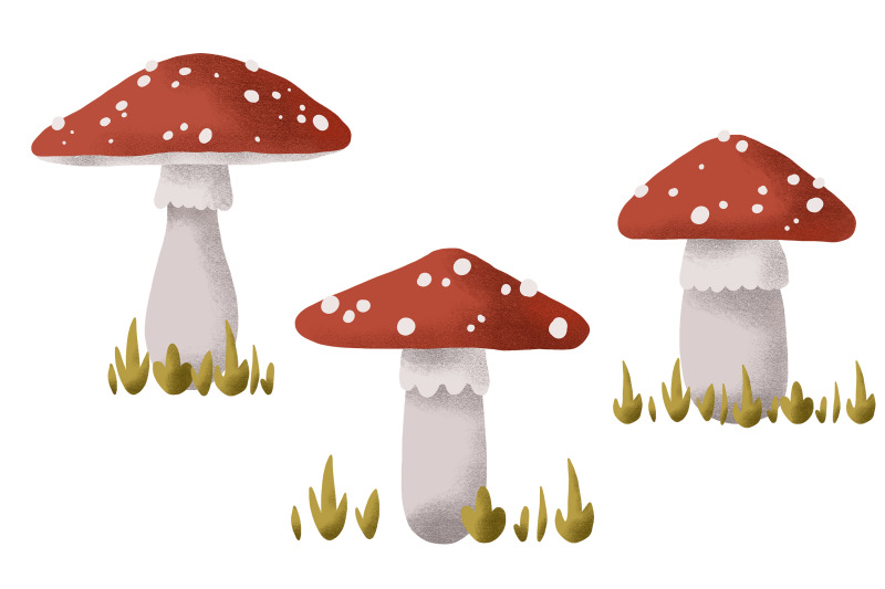 fly-agaric-hand-painted-mushroom-illustration