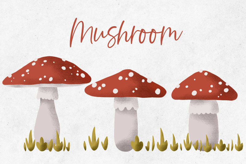 fly-agaric-hand-painted-mushroom-illustration