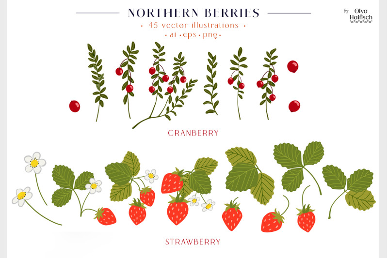 northern-berries-vector-collection-illustrations-frames-patterns