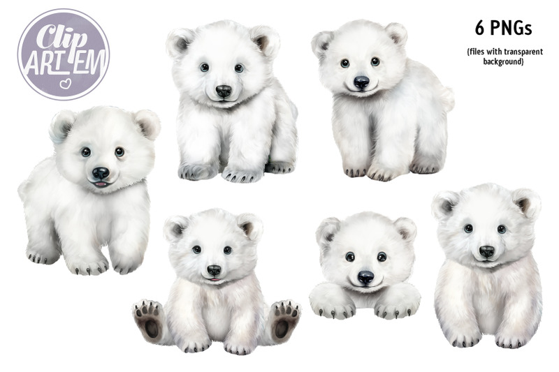 cute-realistic-polar-baby-bear-watercolor-clip-art-6-png-images-set