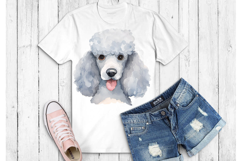 watercolor-poodle-clipart-set-of-7-png-graphics-on-transparent-backgr