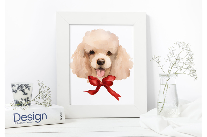 watercolor-poodle-clipart-set-of-7-png-graphics-on-transparent-backgr