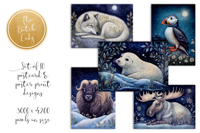 arctic-circle-animals-postcards-amp-art-prints