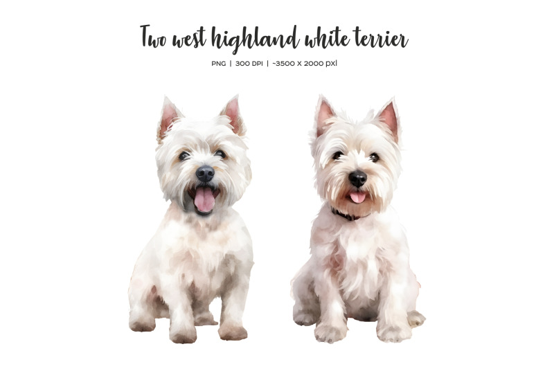 watercolor-christmas-west-highland-white-terrier-clipart-xmas-set