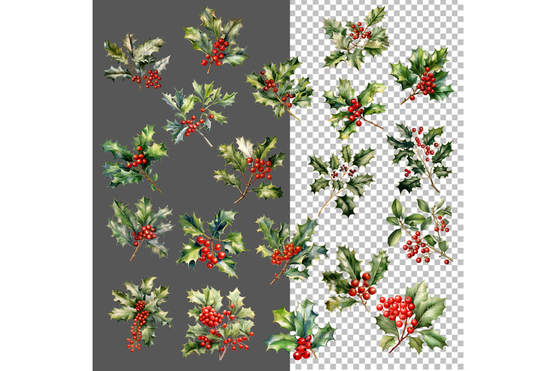 christmas-holly-watercolor-clipart-watercolour-holly-with-berries