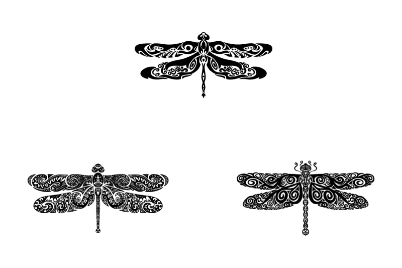 set-of-six-dragonfly-mandalas-dragonfly-zentangle-svg