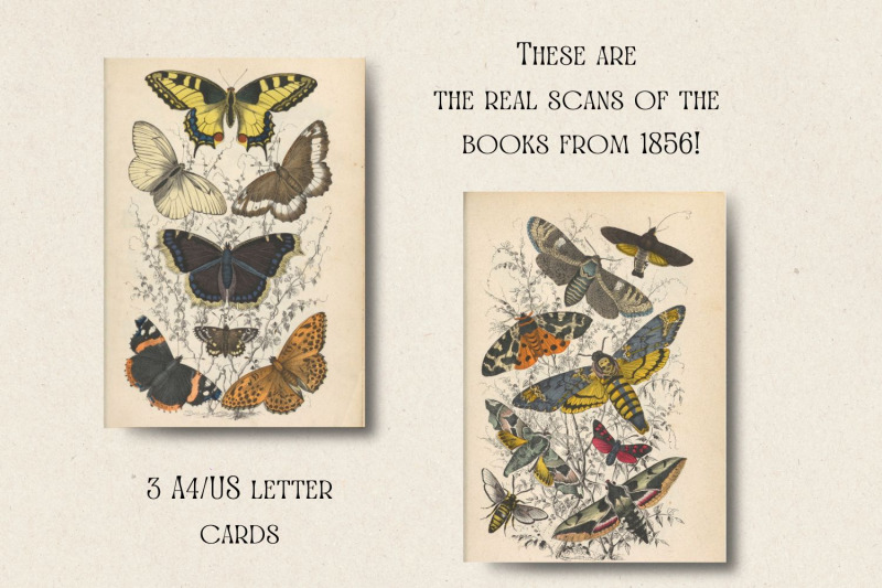 vintage-butterflies-vintage-cards