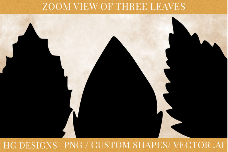 50-leaf-shapes