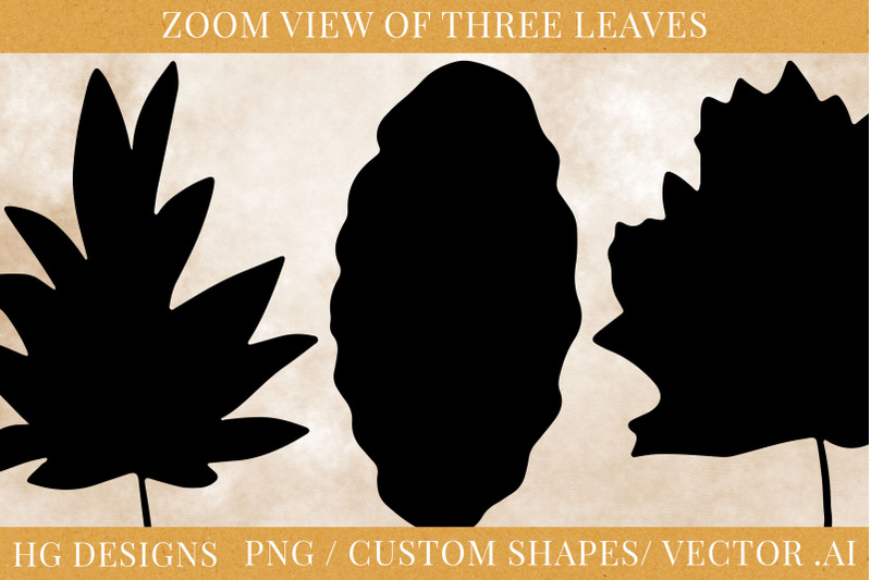 50-leaf-shapes