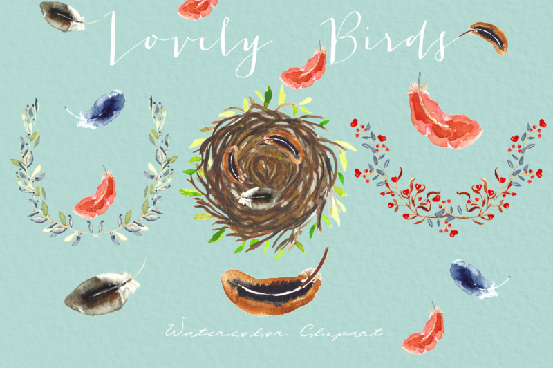 birds-and-feather-watercolor-clipart