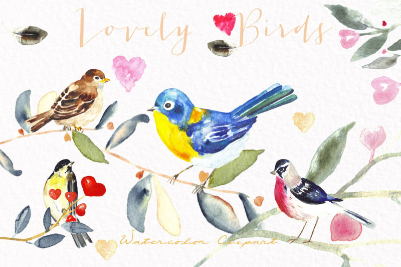 birds-and-feather-watercolor-clipart