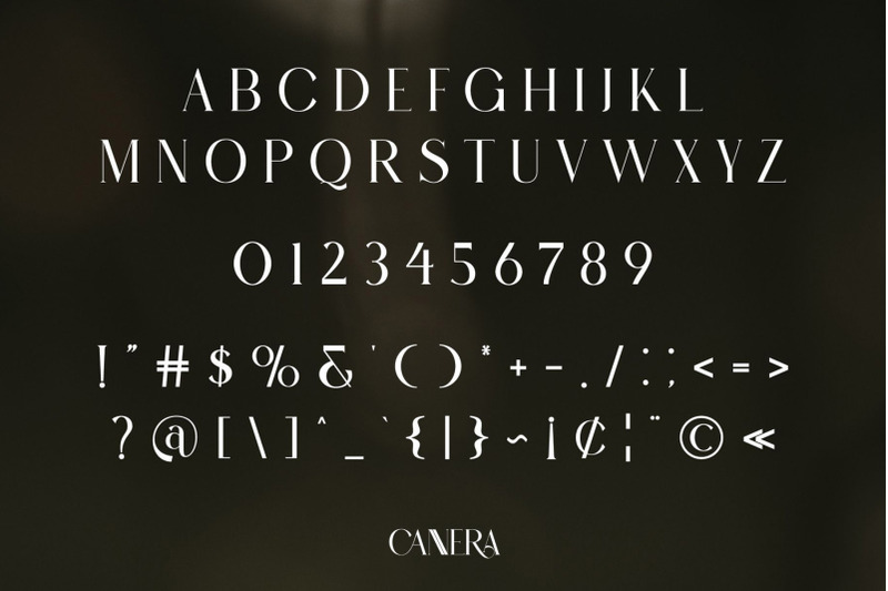 cannera-modern-ligature-serif