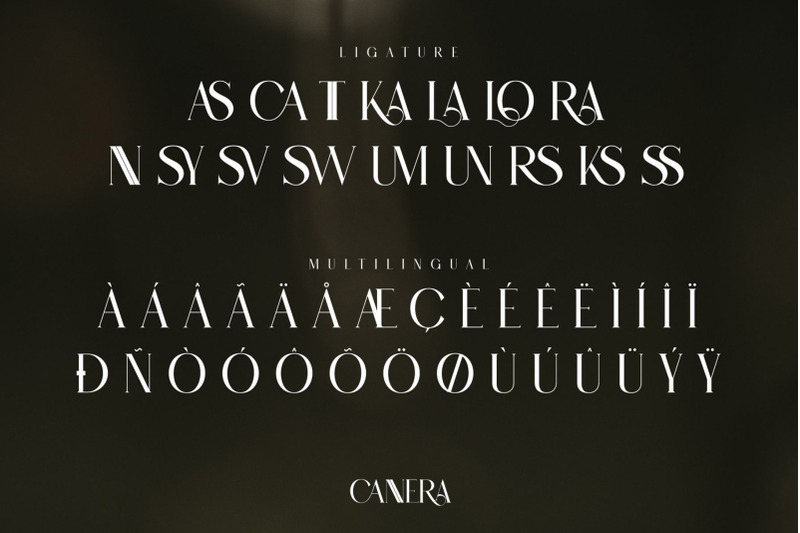 cannera-modern-ligature-serif