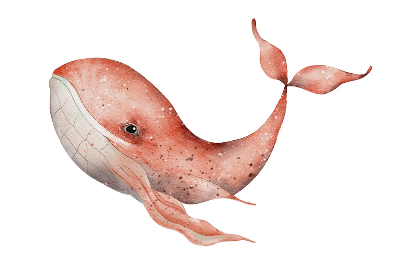 fantasy-marine-life-watercolor-nbsp-hand-drawn-illustrations