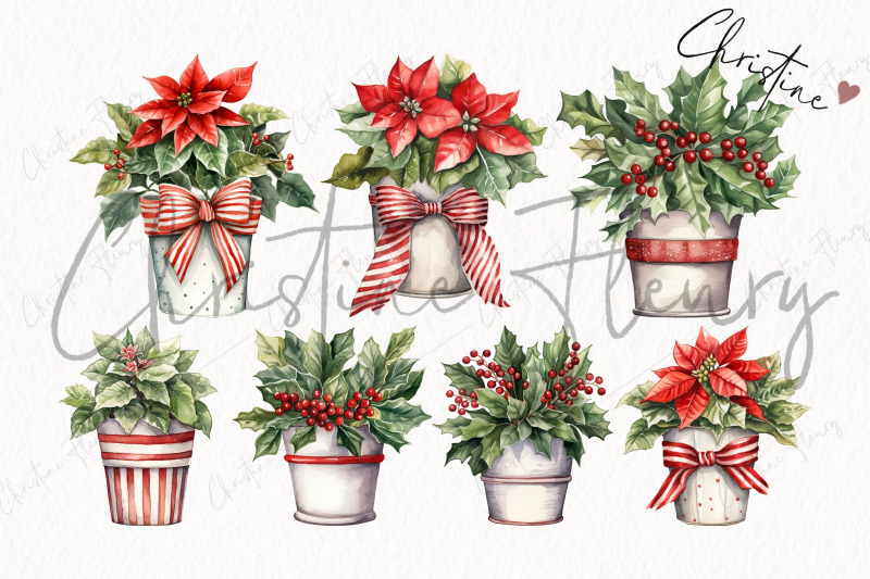 watercolor-christmas-plant-clipart