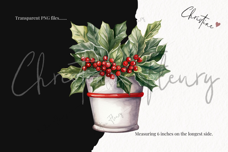 watercolor-christmas-plant-clipart