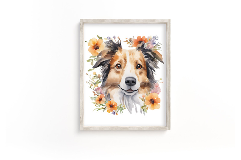 border-collie-with-flowers-watercolor-clipart