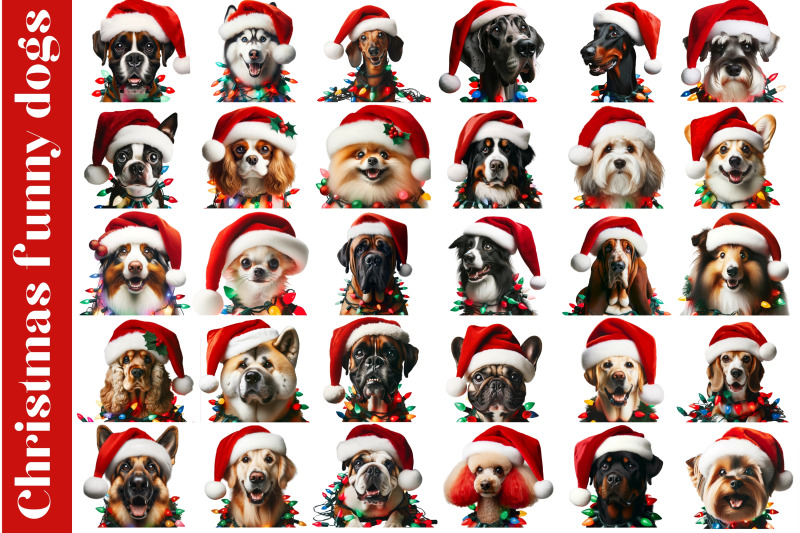 funny-christmas-dogs