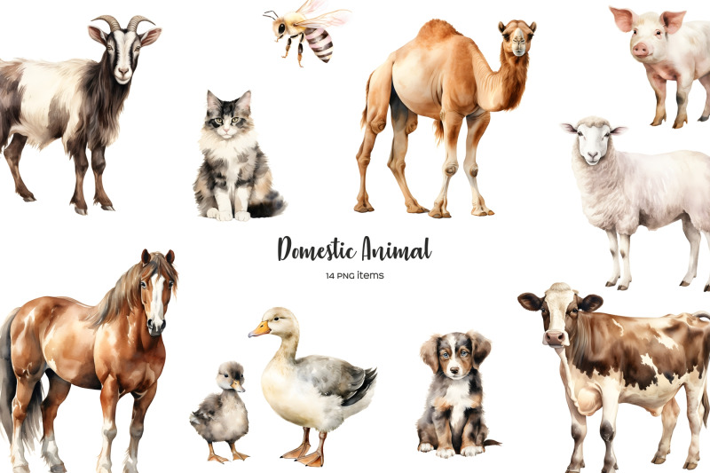 watercolor-domestic-animal-clipart-livestock-clipart