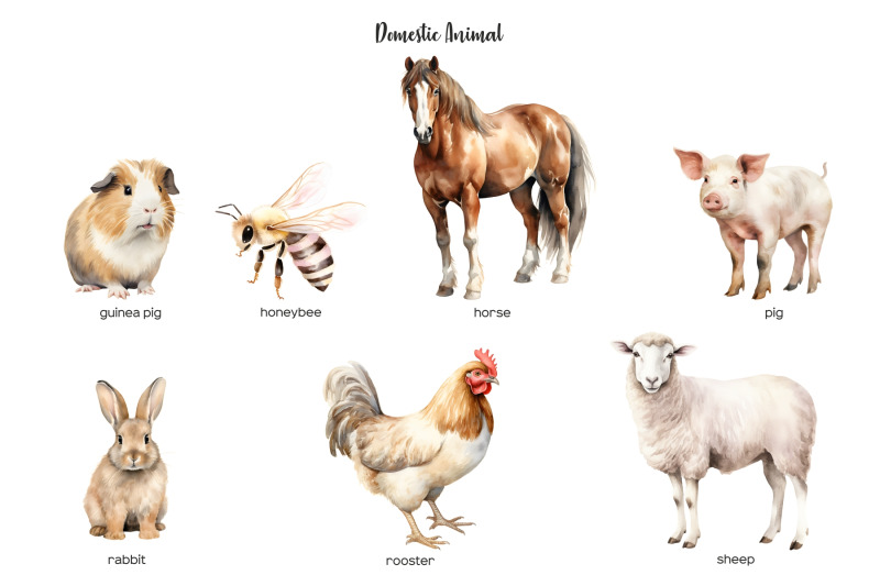 watercolor-domestic-animal-clipart-livestock-clipart