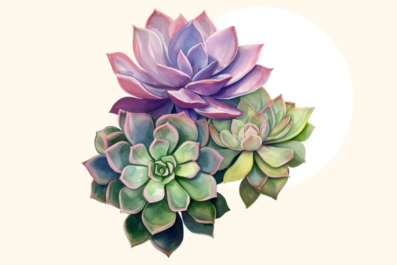 succulents-pattern-and-elements-floral-exotic-clipart-without-backgro