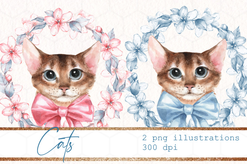 watercolor-cats-with-flowers-2-png-sublimation-designs