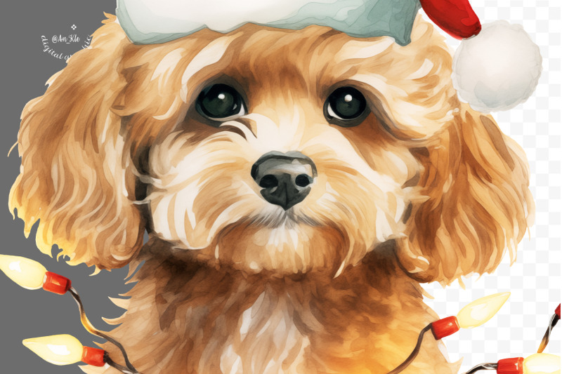 christmas-cavapoo-dog