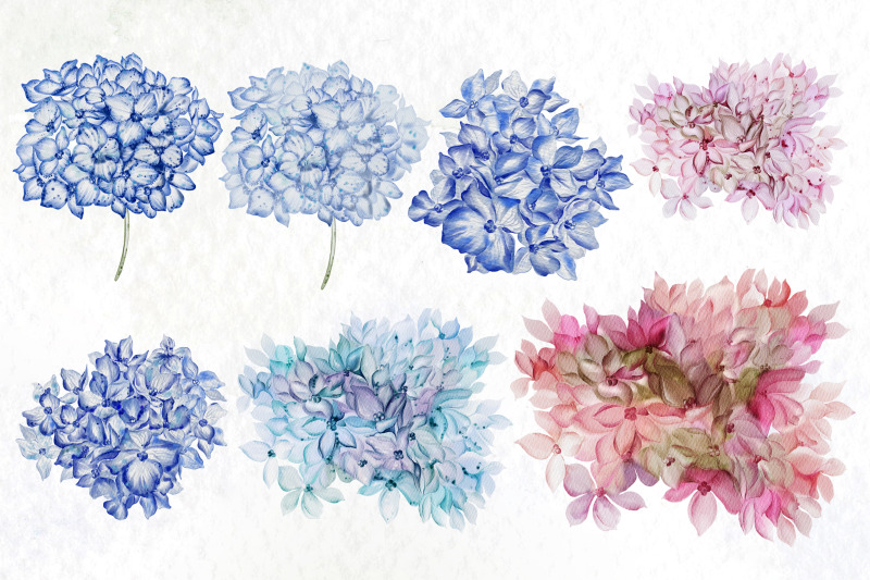 watercolor-hydrangea-flowers