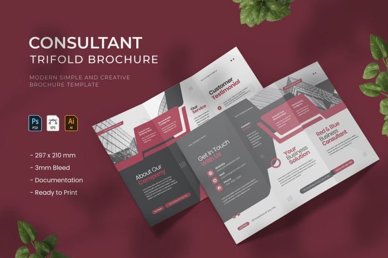 consultant-trifold-brochure