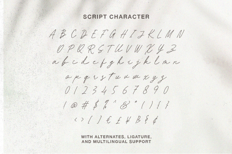 hartens-serif-script-font-duo