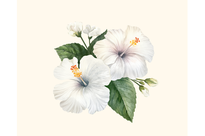 hibiscus-pattern-and-elements-floral-exotic-clipart-without-backgroun