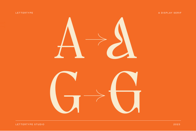 lettertype-a-stunning-display-serif