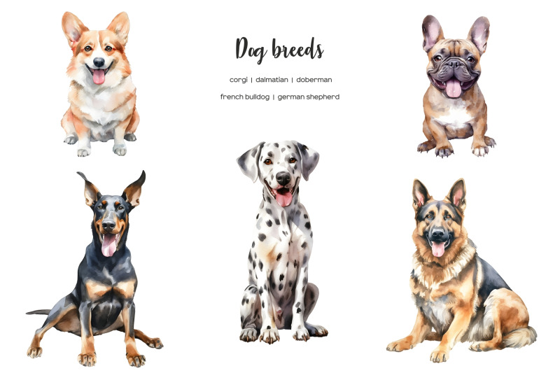 watercolor-dog-breeds-clipart-whole-body-dogs-clip-art-dog-types-25