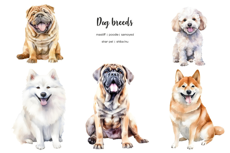 watercolor-dog-breeds-clipart-whole-body-dogs-clip-art-dog-types-25