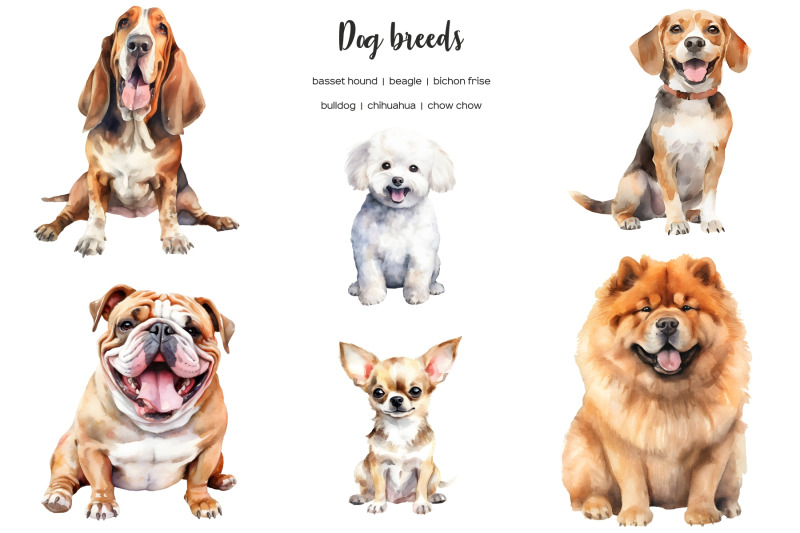 watercolor-dog-breeds-clipart-whole-body-dogs-clip-art-dog-types-25
