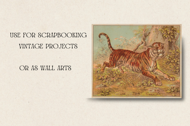 vintage-animals-cards-lion-giraffe